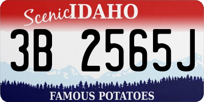 ID license plate 3B2565J