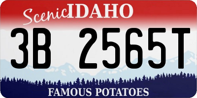ID license plate 3B2565T