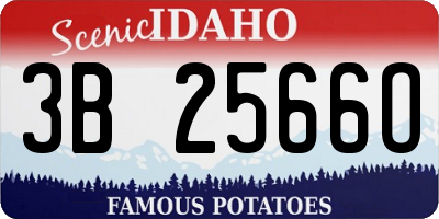 ID license plate 3B2566O