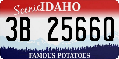 ID license plate 3B2566Q