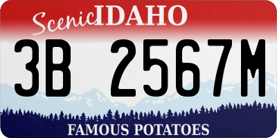 ID license plate 3B2567M