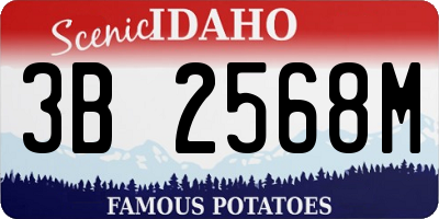 ID license plate 3B2568M