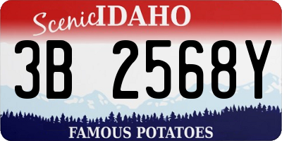 ID license plate 3B2568Y
