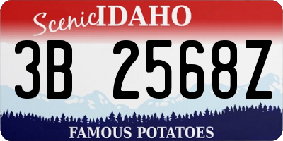 ID license plate 3B2568Z