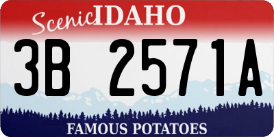 ID license plate 3B2571A