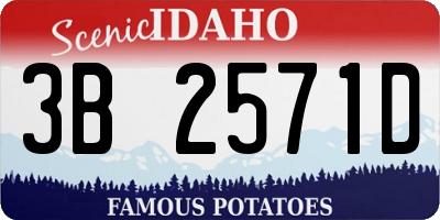 ID license plate 3B2571D