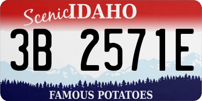 ID license plate 3B2571E