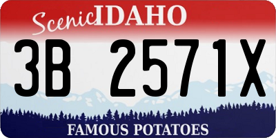 ID license plate 3B2571X