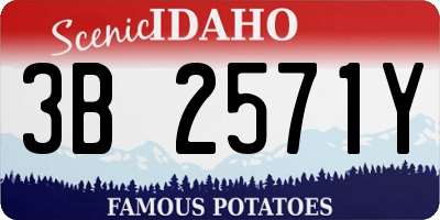 ID license plate 3B2571Y