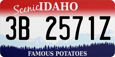 ID license plate 3B2571Z