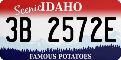 ID license plate 3B2572E