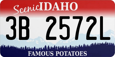 ID license plate 3B2572L