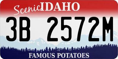 ID license plate 3B2572M