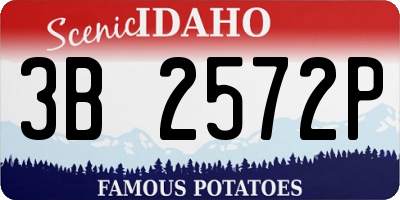 ID license plate 3B2572P
