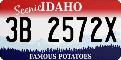 ID license plate 3B2572X