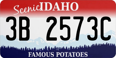 ID license plate 3B2573C
