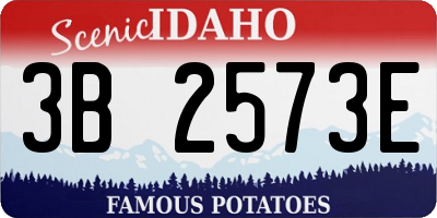 ID license plate 3B2573E
