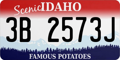 ID license plate 3B2573J