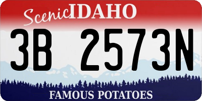 ID license plate 3B2573N