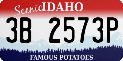 ID license plate 3B2573P