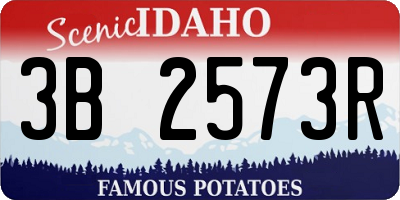 ID license plate 3B2573R