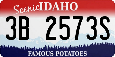 ID license plate 3B2573S