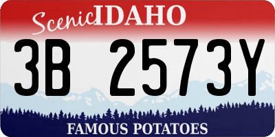 ID license plate 3B2573Y