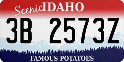 ID license plate 3B2573Z