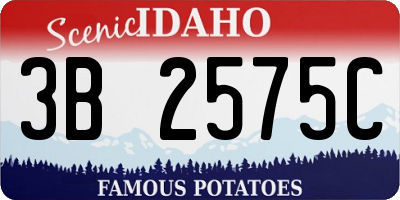 ID license plate 3B2575C