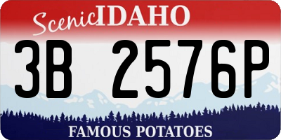 ID license plate 3B2576P