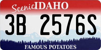 ID license plate 3B2576S