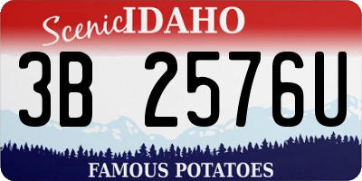ID license plate 3B2576U