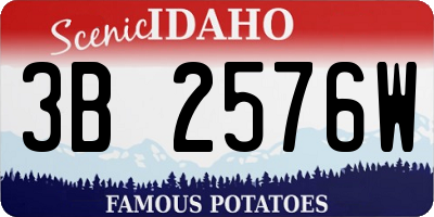 ID license plate 3B2576W