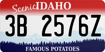 ID license plate 3B2576Z