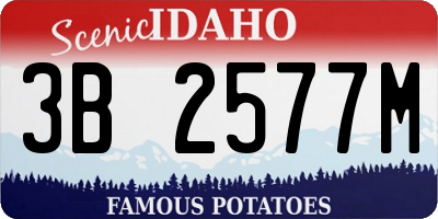 ID license plate 3B2577M