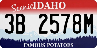 ID license plate 3B2578M