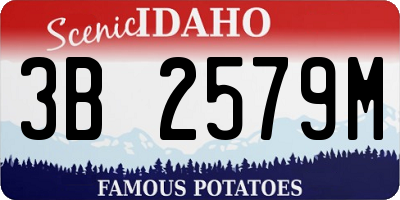 ID license plate 3B2579M
