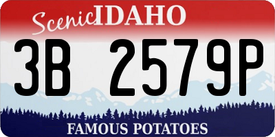 ID license plate 3B2579P