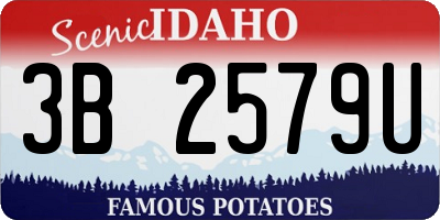 ID license plate 3B2579U