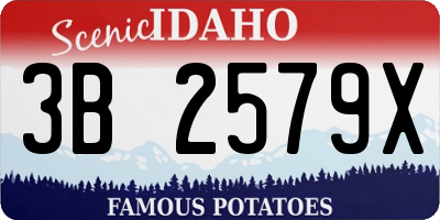 ID license plate 3B2579X