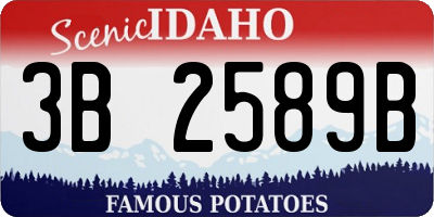 ID license plate 3B2589B