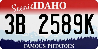 ID license plate 3B2589K