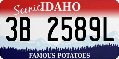 ID license plate 3B2589L