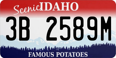 ID license plate 3B2589M
