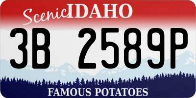 ID license plate 3B2589P
