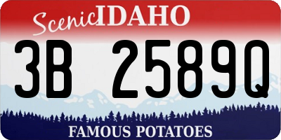 ID license plate 3B2589Q