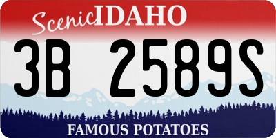 ID license plate 3B2589S
