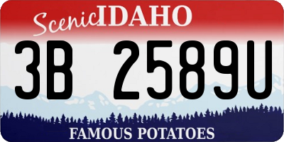 ID license plate 3B2589U