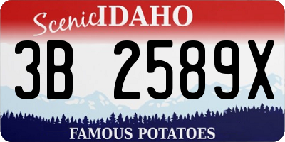 ID license plate 3B2589X