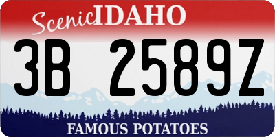 ID license plate 3B2589Z